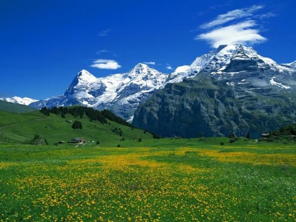 Breithorn Peak in Switzerland 瑞士