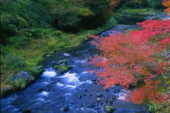 Deep Autumn 深秋風景